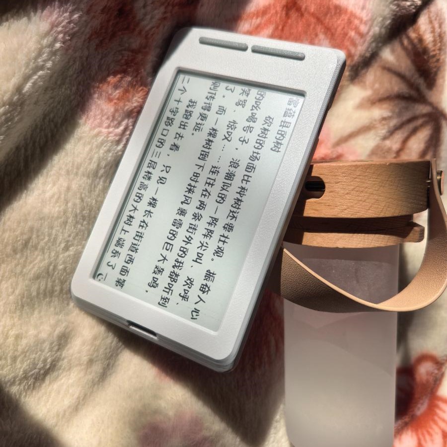 Voor XTEINK X4 E-Ink Reader Vo - 3D Printing Ebook recensie en prijs